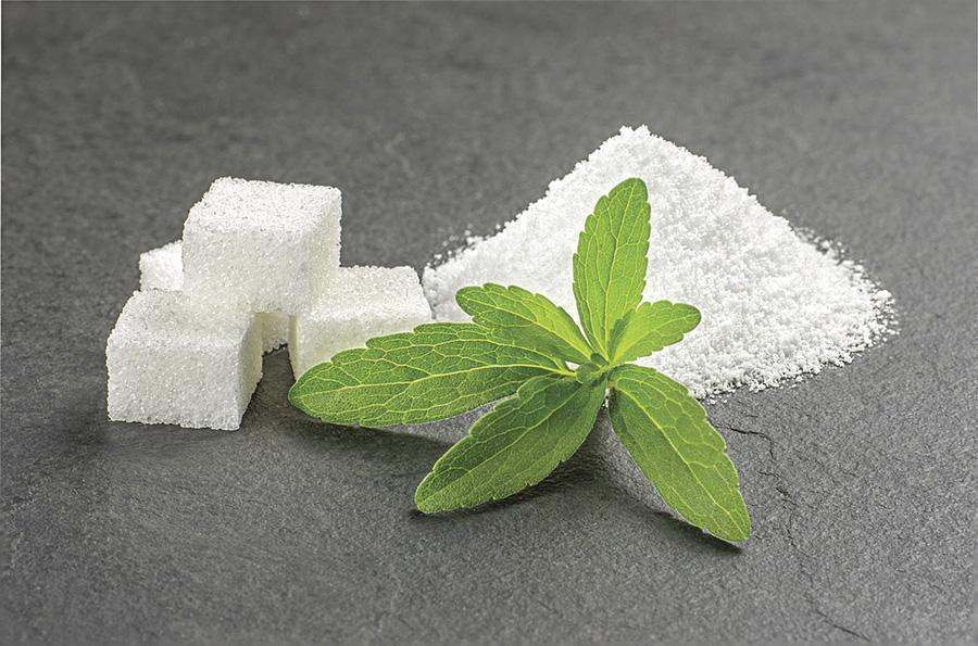 Stevia World Forum